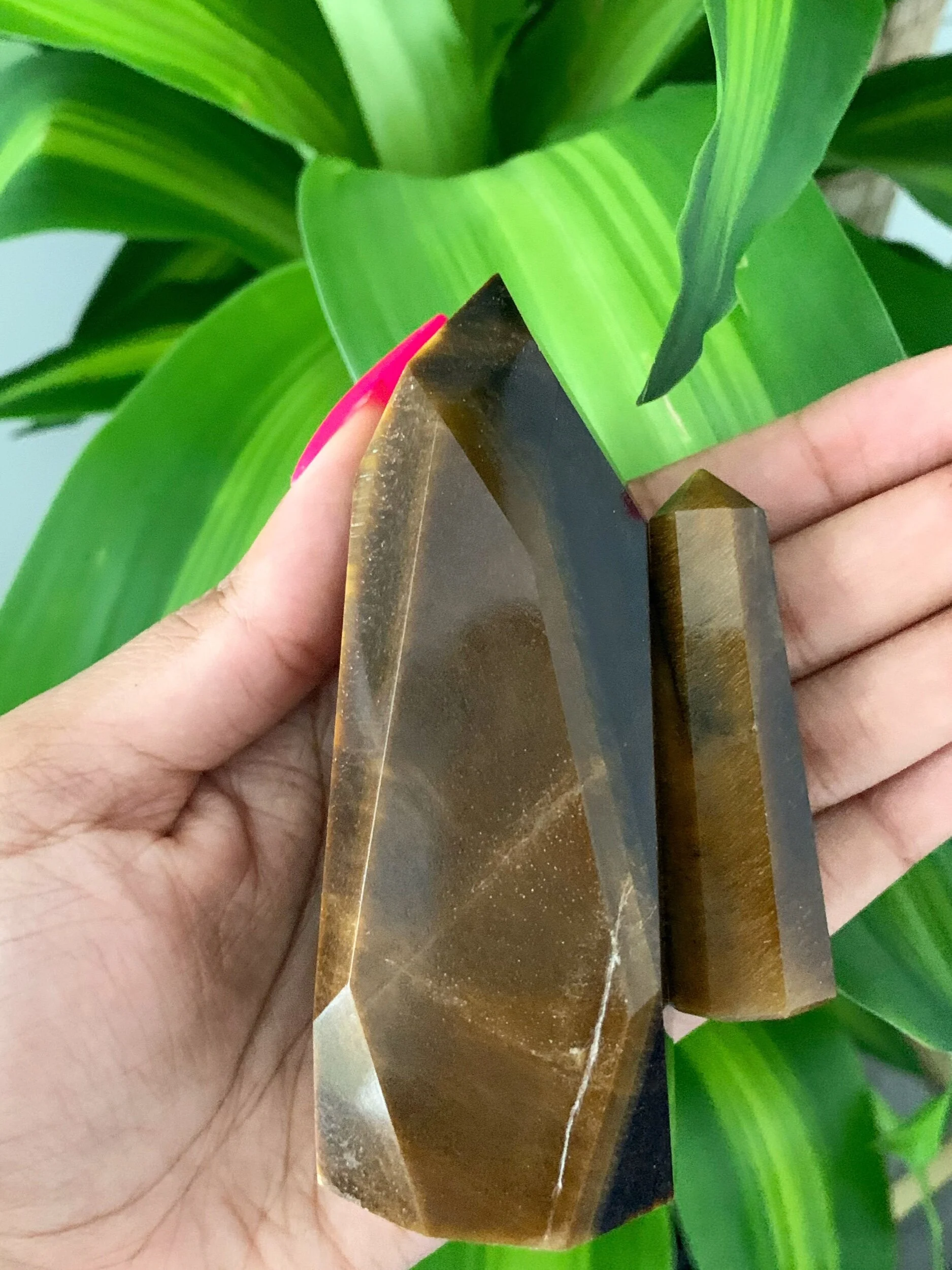 35E12AF9-844A-4B3D-8F70-C72EAB775081