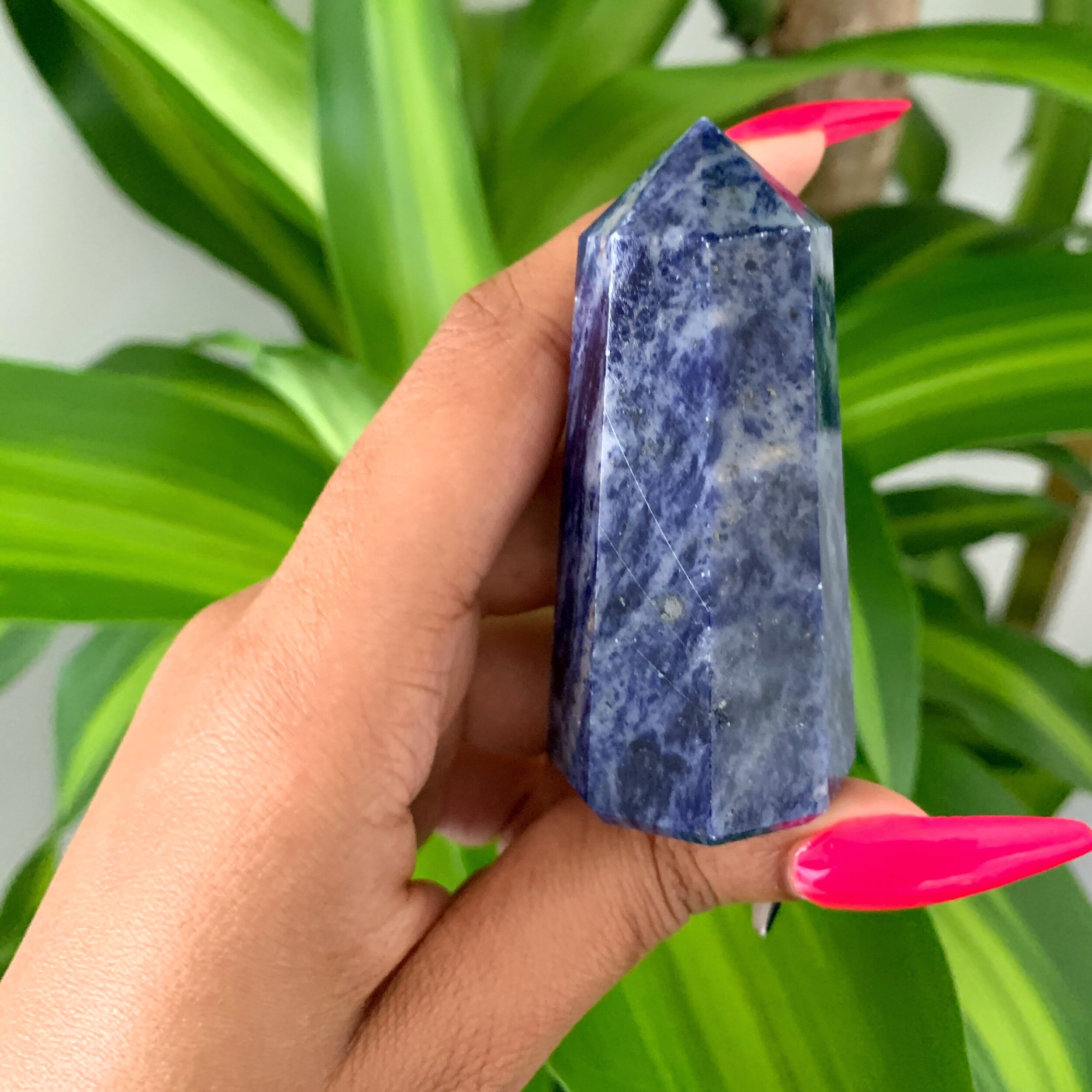 16C9B5C6-5EF7-4223-AFD8-864368C55715