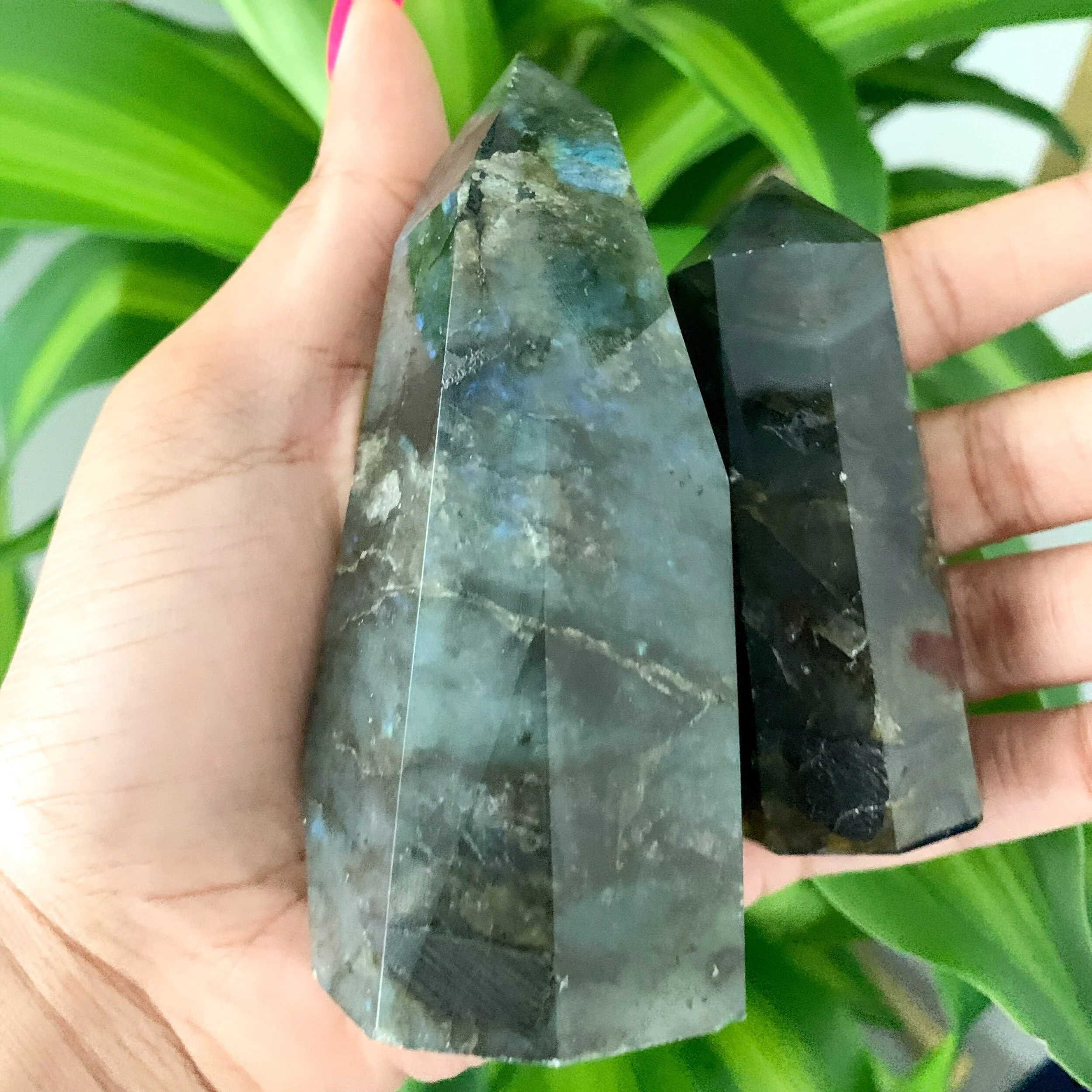 36954439-C10D-44C3-841A-D66FF8D3D679