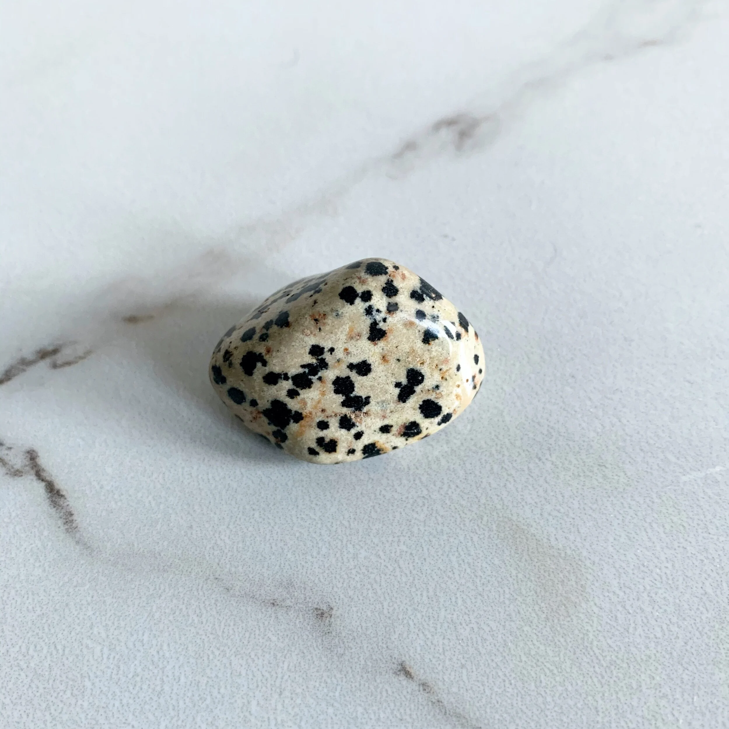 CC300A6B-F0B6-4673-B5B0-B5EDD97548FE