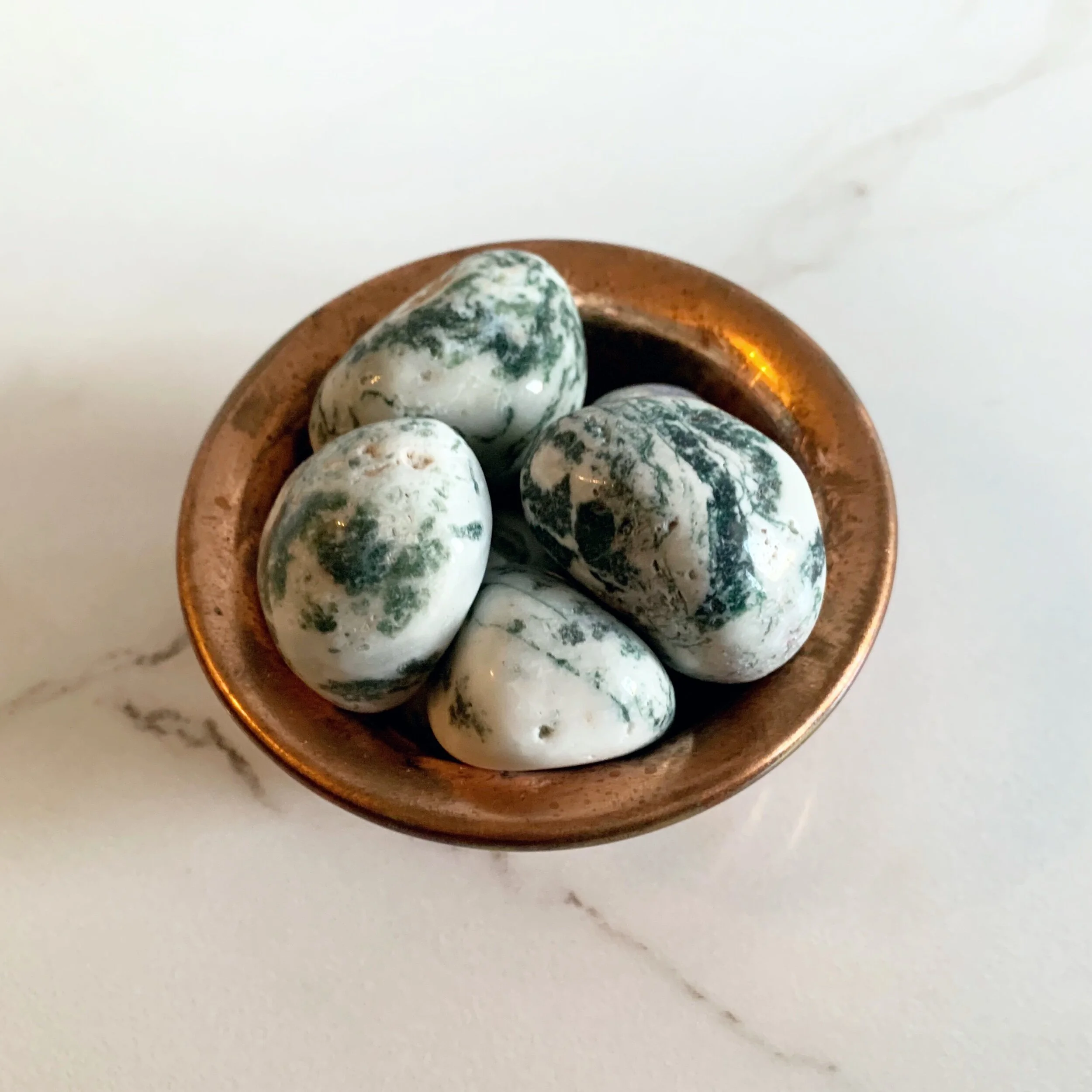 3A91F08B-EB11-48ED-8830-404CC92DFDE8