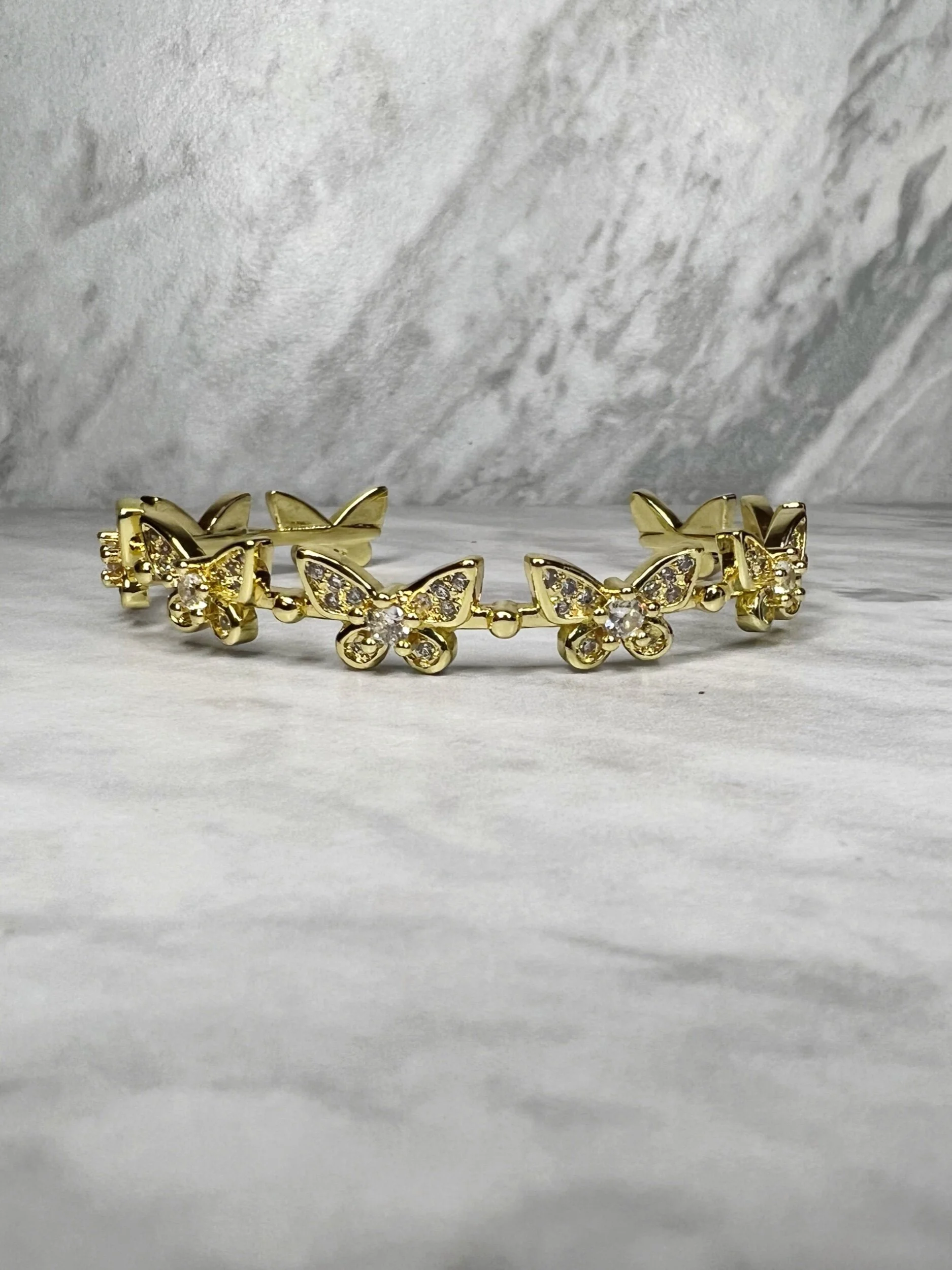 4ACEC1BB-8C70-47B8-A8C5-B71E594706AC