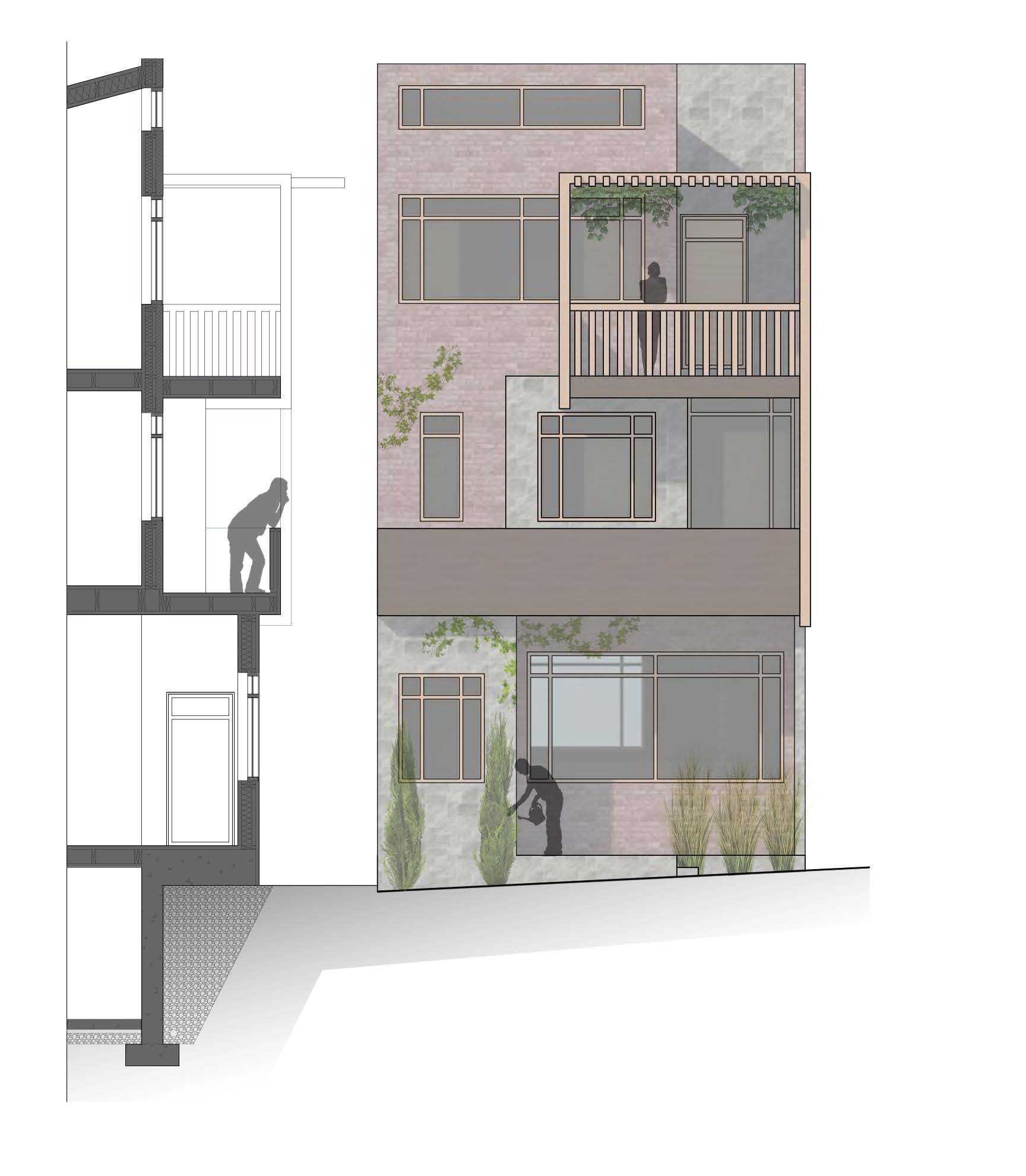 Section and west elevation study || Revit, Photoshop, Illustrator