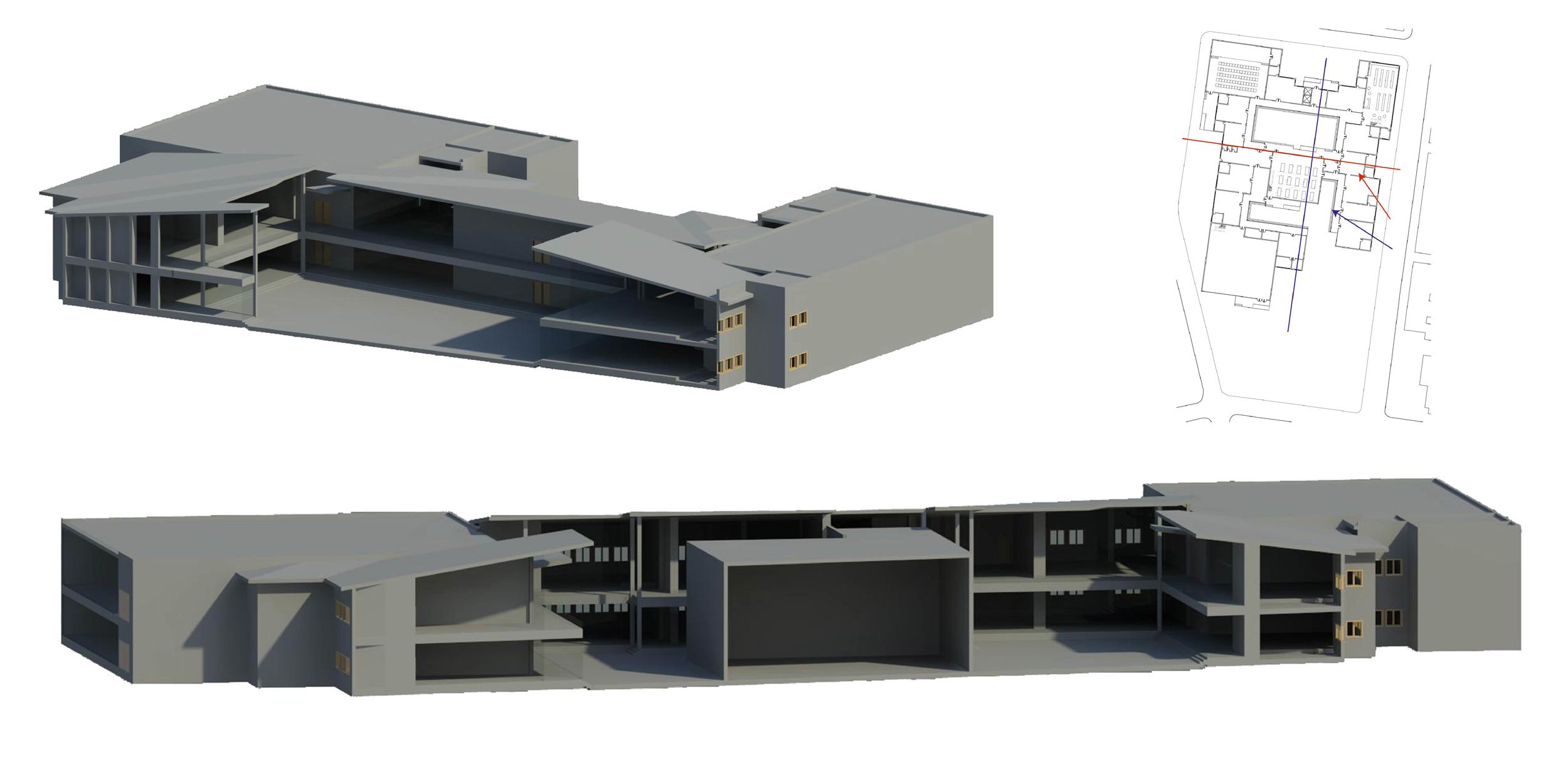 Section perspectives || Revit, AutoCAD, Illustrator