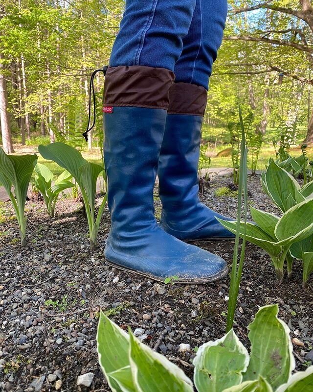 ❤️ My Boots from Ameico.com BestBoots  for gardening or on muddy walks.
Tall, Comfortable, Waterproof, lightweight, foldup,easy to wash,
AND drawstring at top keeps the 🐜&rsquo;s and ticks out !