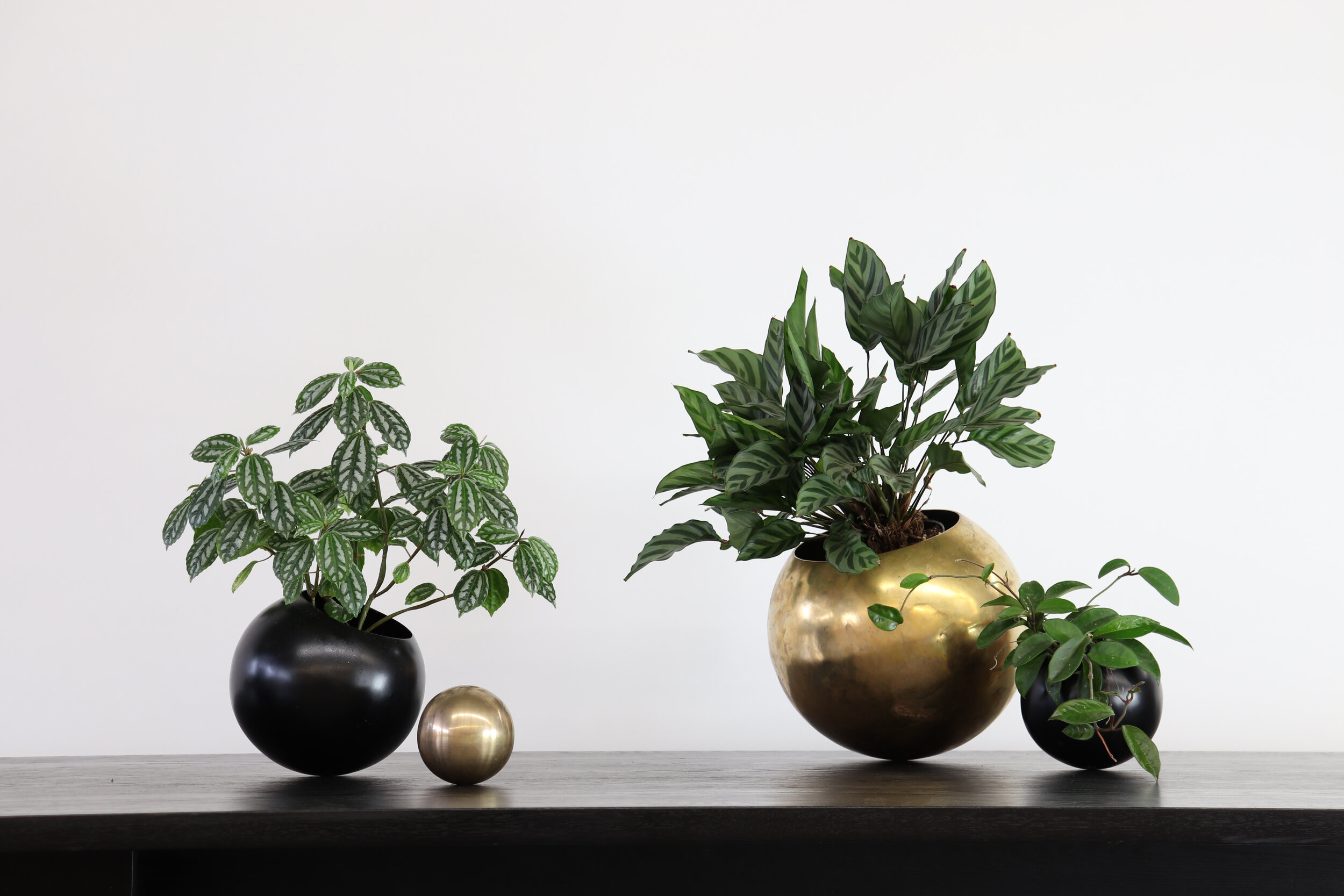 SPHERE PLANTER