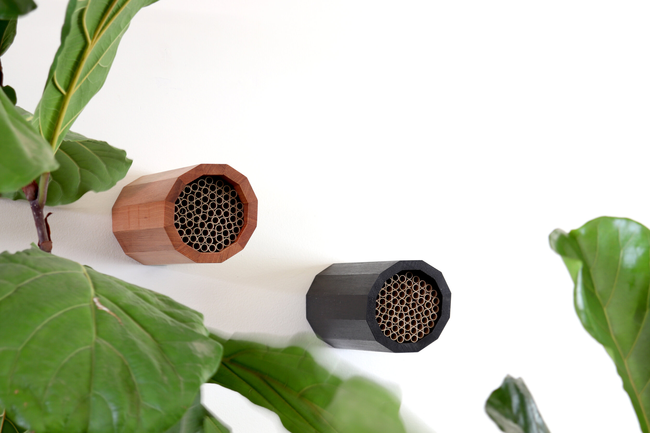 MASON BEE HIVE