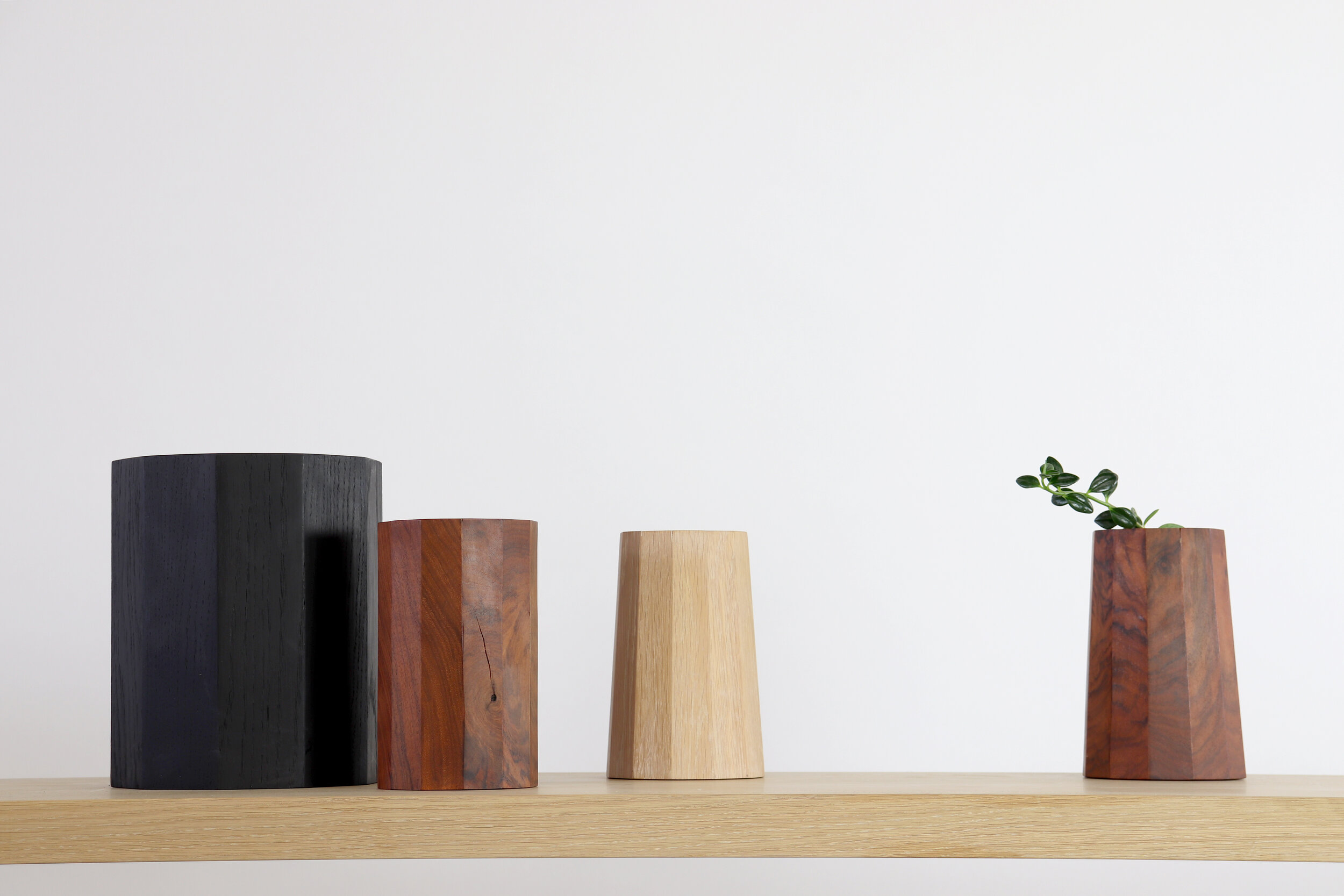WOOD VESSELS