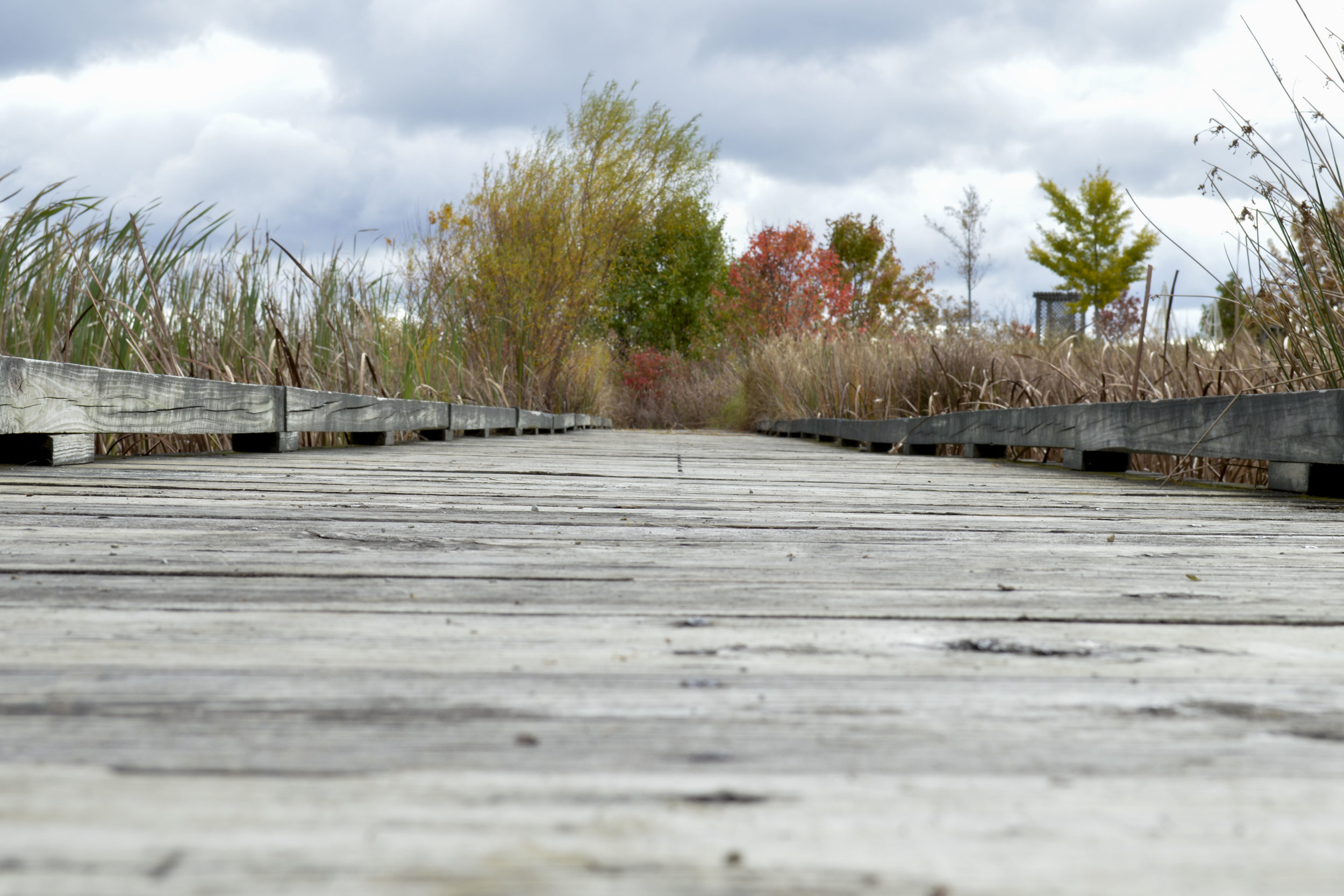 Adventures Rebecca Mehling Photography