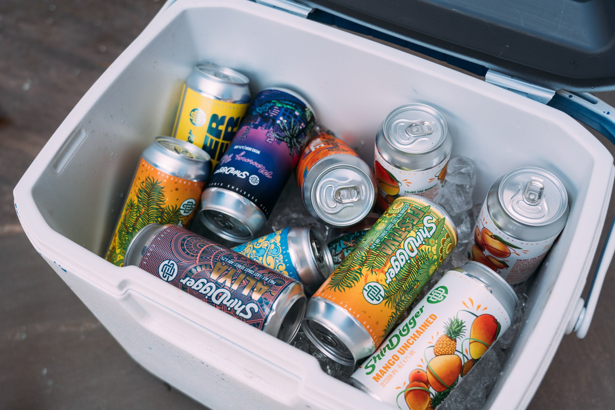 Craft Beer Shop ShinDigger Nationwide