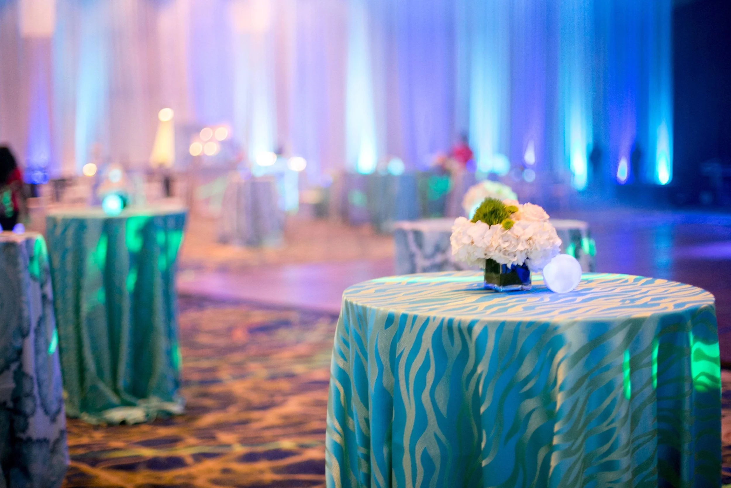 CopyrightChristinaYsaguirrePhotography2016-CaciqueInt.BlueParty-73 copy.jpg