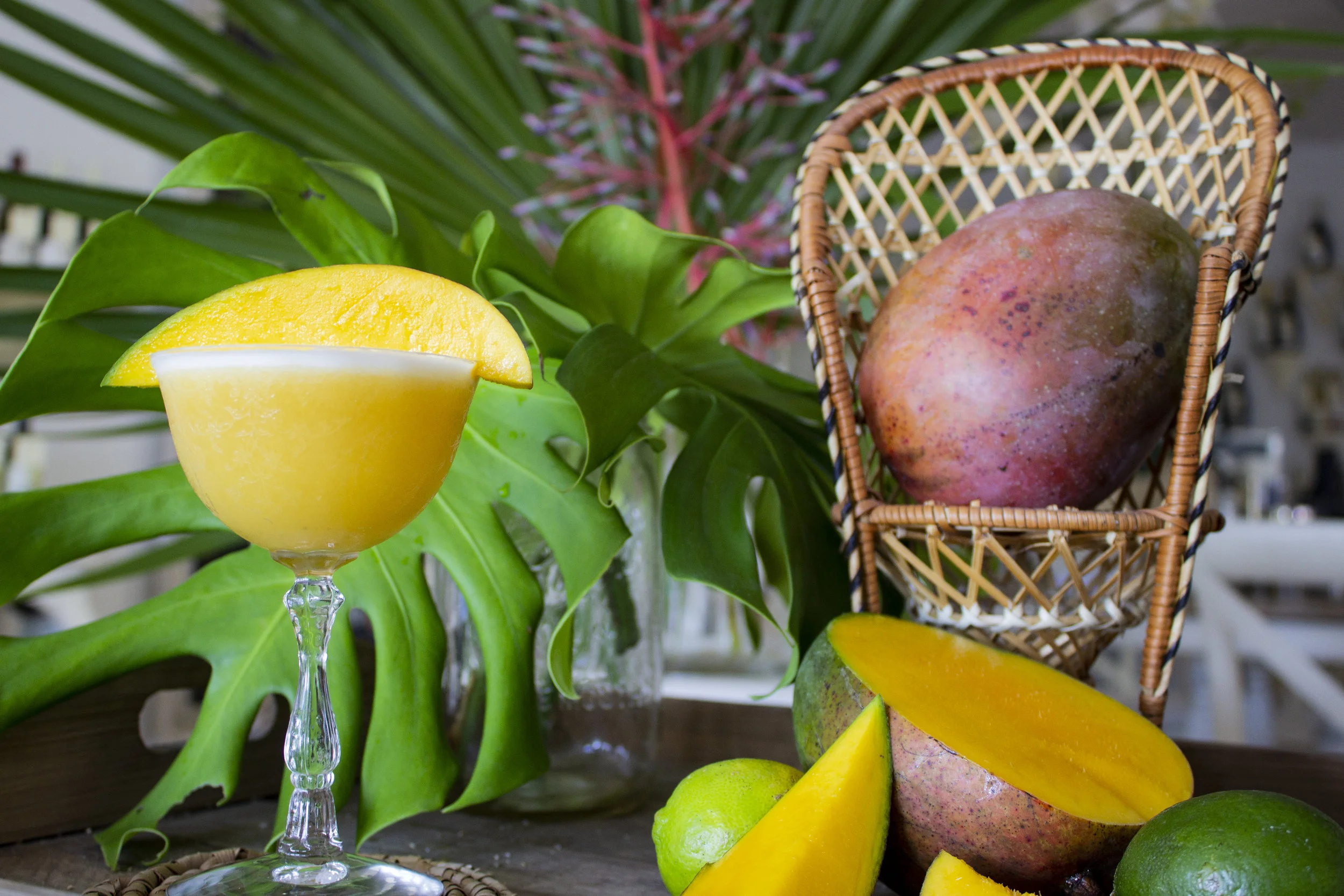 The 'Sol Vibrante' holding court with sweet mangoes.
