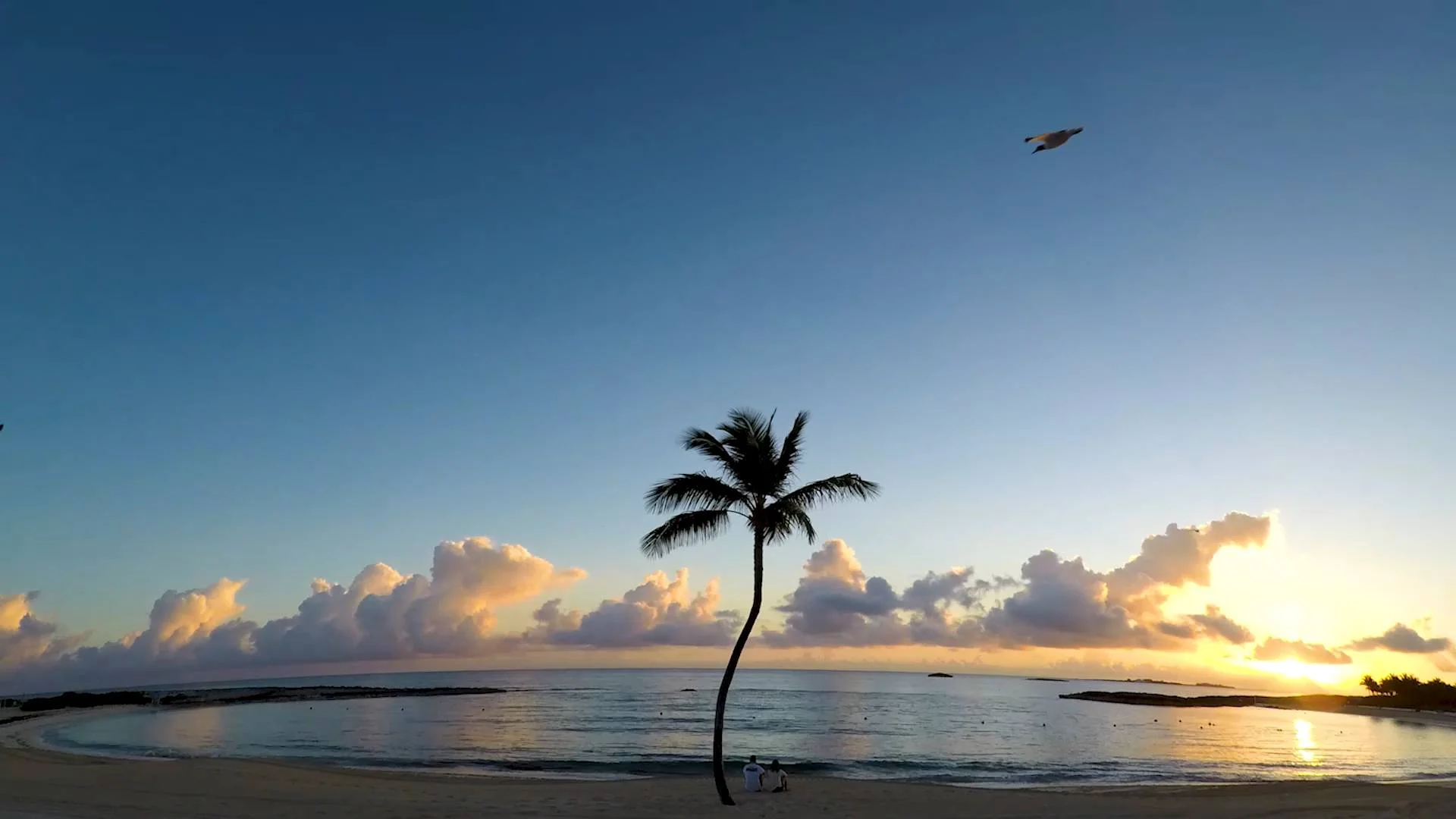 The Cove Atlantis. Wish you were here?