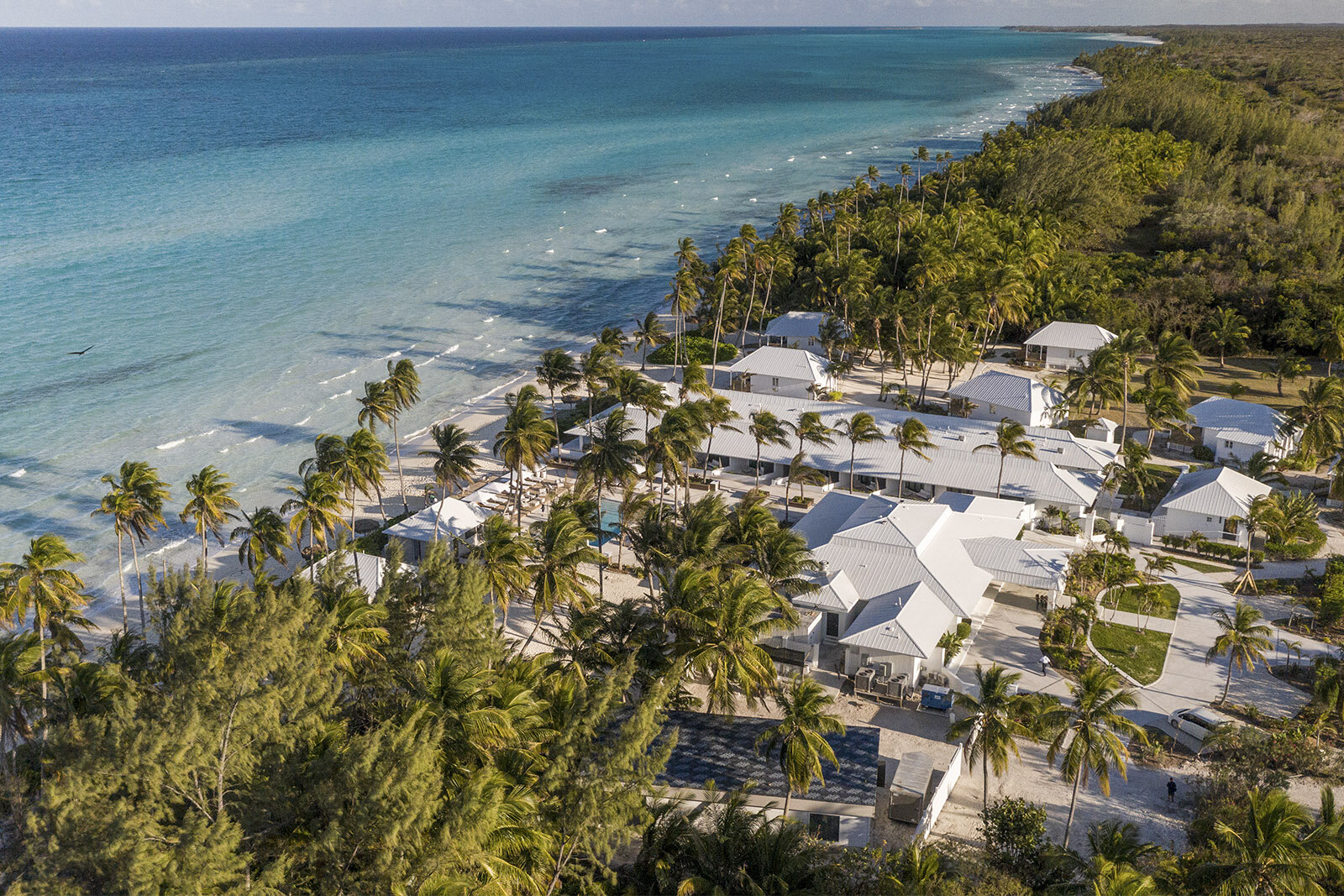 Caerula-Mar-Resort-bahamas.jpeg