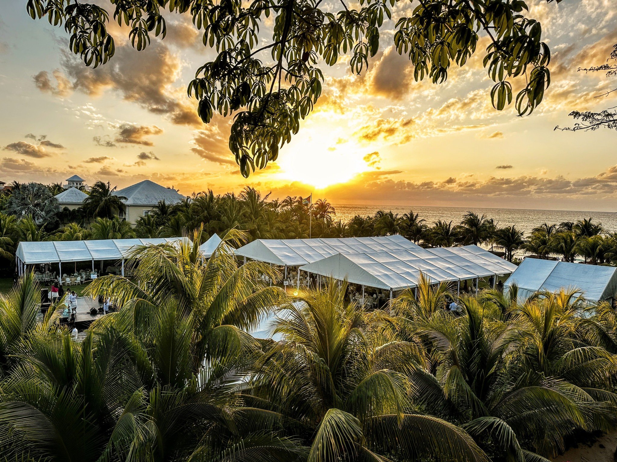 SWIPE to SWOOP inside 🌴🦅

From above, it's pure magic&mdash;wait until you see inside ✨
.
.
.
.
.
.
. 
#eventdesign #experientialdesign #destinationexperience #tenting #bahamasevents #tropicalevents #tabledesign #florals #floraldesign #teamcacique 