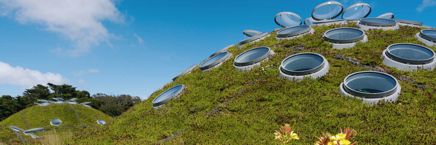 green roof at the California Academy of Science s