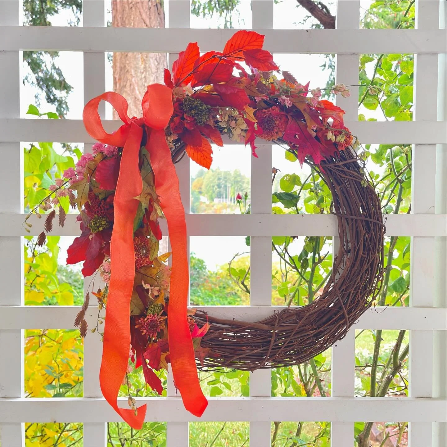 On Sunday I drove to Snohomish to have lunch with a friend before joining her in her utterly charming studio, @fleurs.creative to make an autumn wreath. 
Alicia has dried flowers, foliage, and ribbons in virtually every color of the rainbow but the o