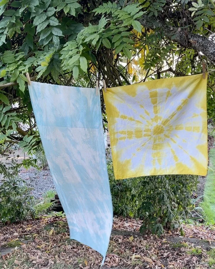 I finally did it! 
After years of reading the botanical dyeing books and growing plants for botanical dyeing - but still not wanting to go it alone -  I finally snagged a spot in one of the super popular textile classes with @hannahwatsontextiles at 