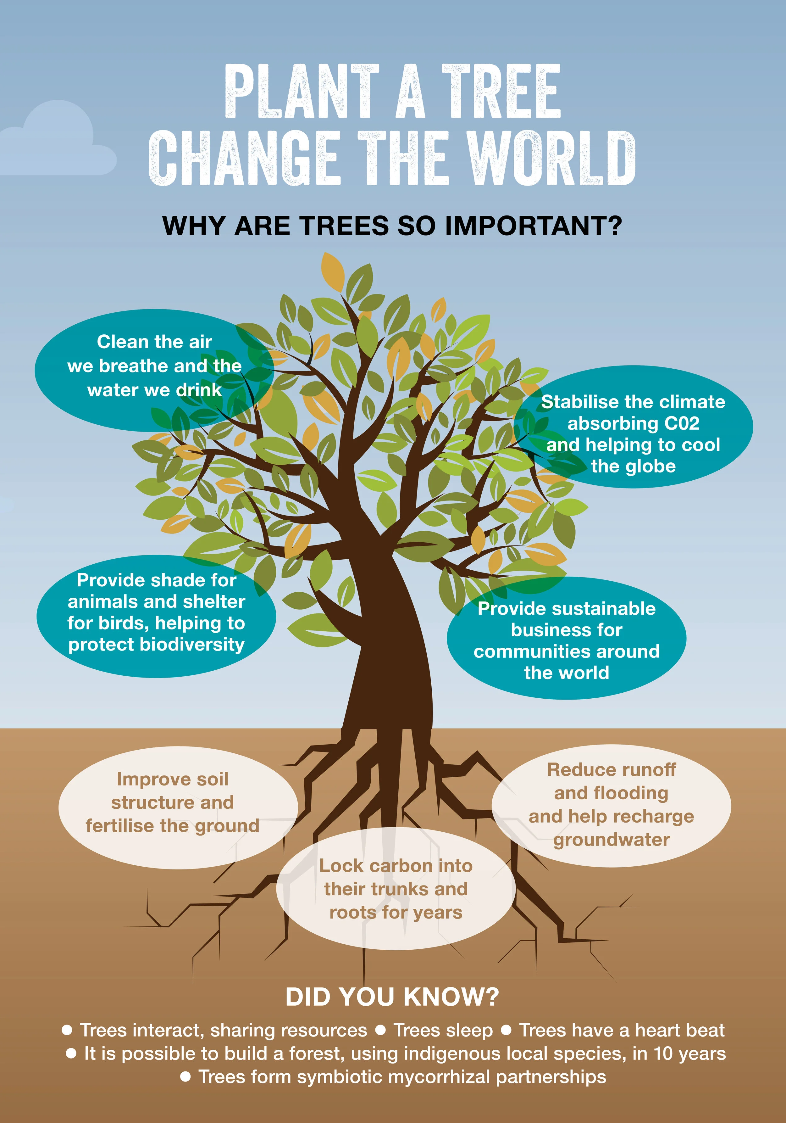 tree_infographic.jpg