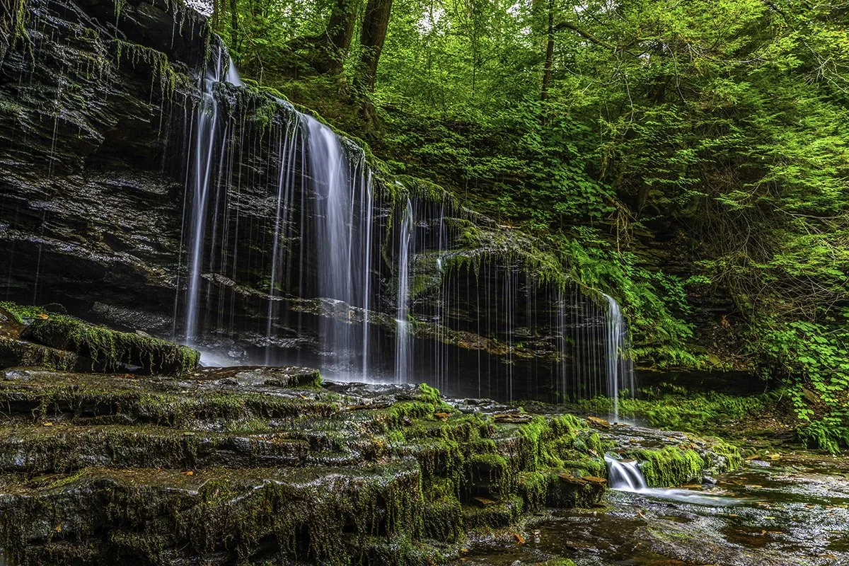 Image_003_sm.jpg