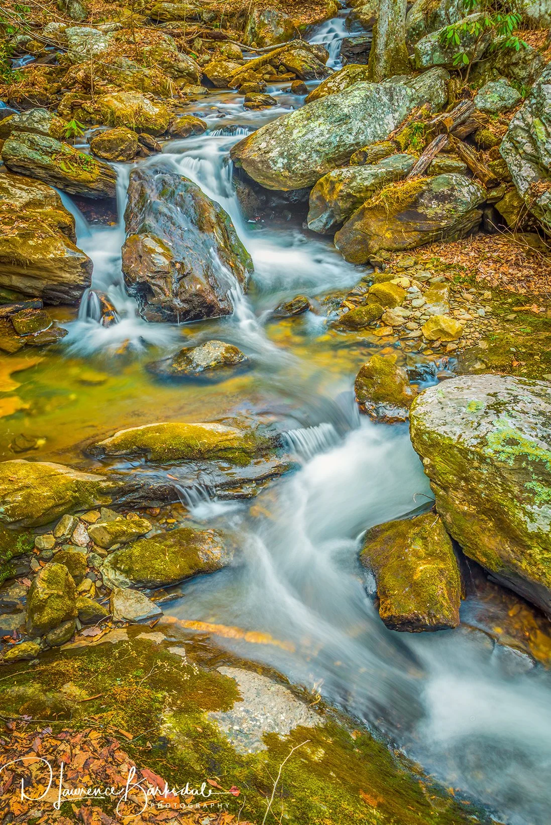 Final_003_hdr.jpg