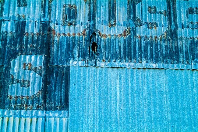 DSCF0040.jpg