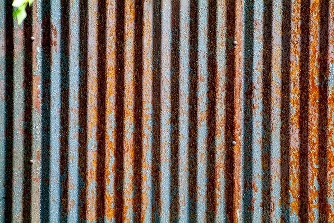 DSCF0042.jpg