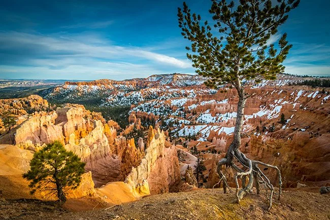 Bryce_002_sm.jpg