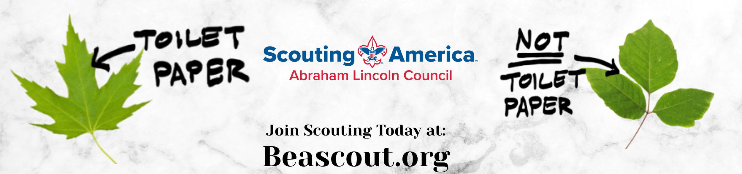 Website Banner 2550x600 (3).png