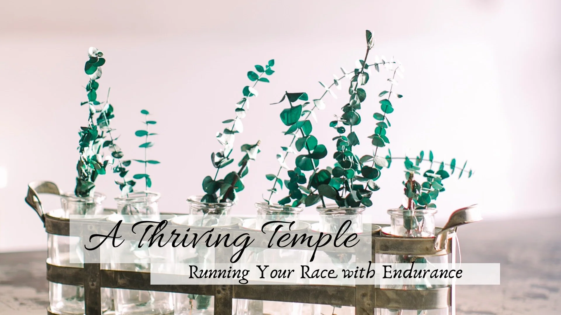 A Thriving Temple.jpeg