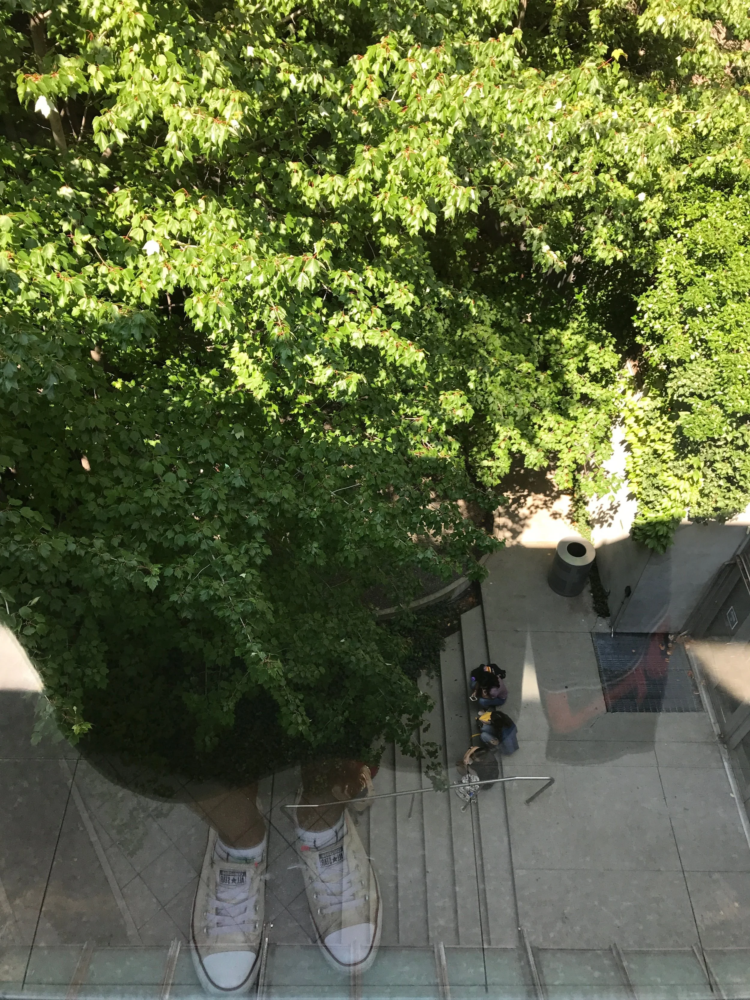 Original Tree People