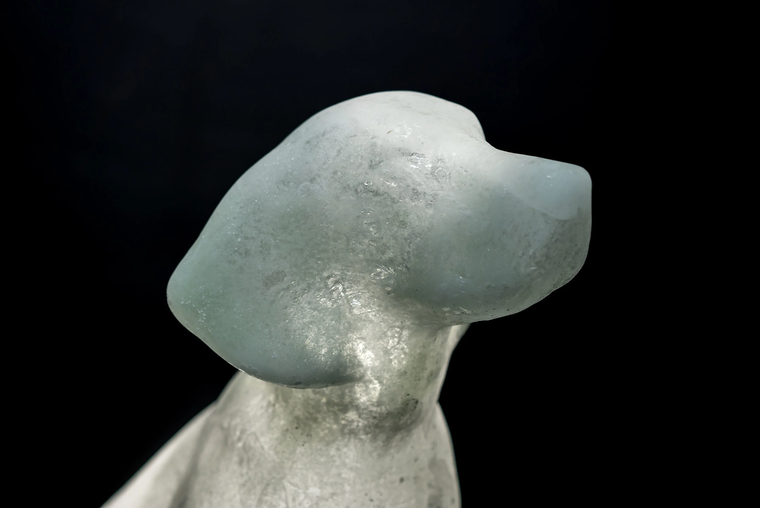 ice-dog-studio-8.jpg