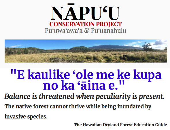 Hauʻāina Volunteer Day at Puʻuwaʻawaʻa