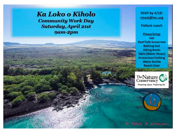 Hui Aloha Kīholo Work Day