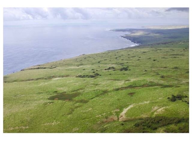 772 Acres Conserved✅ Kawala, Kaʻū &ldquo;This conservation easement will preserve sections of an ancient trail system that connect the fertile fields of Na&lsquo;alehu with abundant marine resources along the coastline including a culturally signific