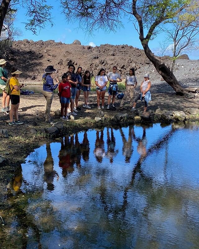 Thank you to Dena Sedar, a representative of the State Parks, for her continued effort in rehabilitating the anchialine ponds along our coastlines and restoring ʻopae ʻula populations! We appreciate your efforts. #opaeula