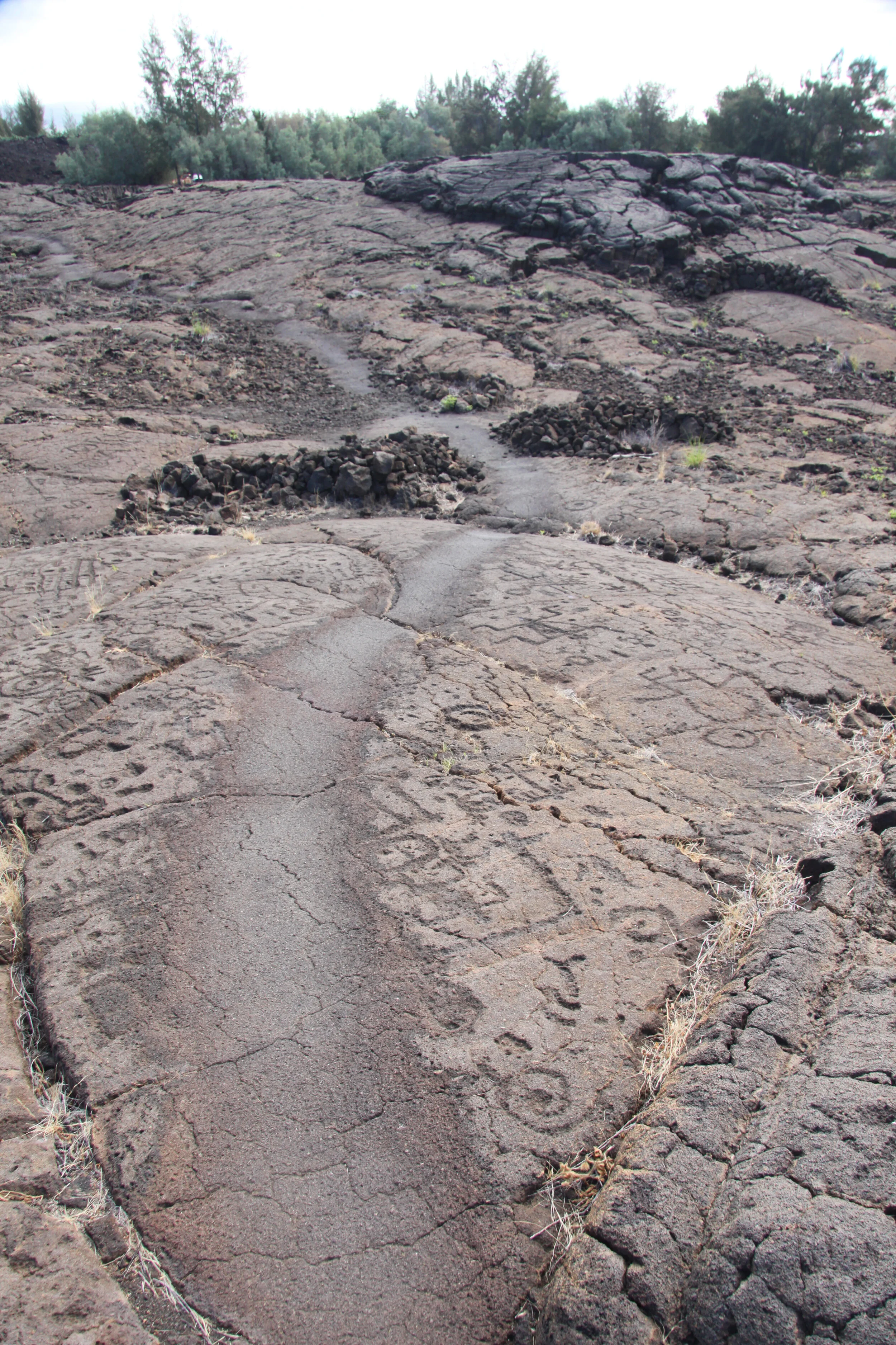 Pāhoehoe Trail.jpg