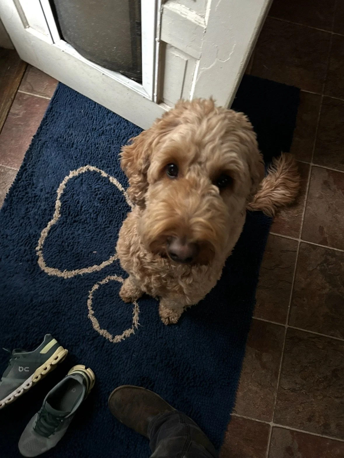 Chief of Curls in Weymouth