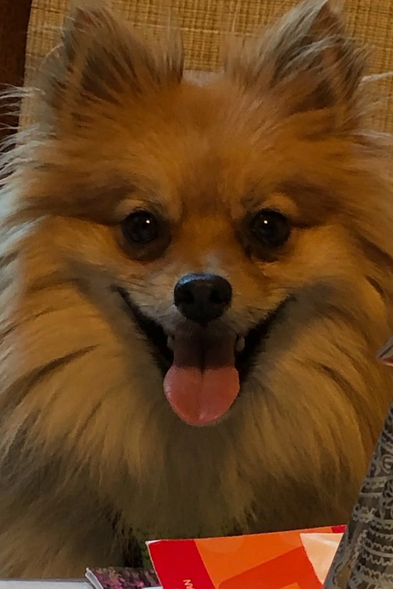 Velocity Plumbing and Heating LLC project 4