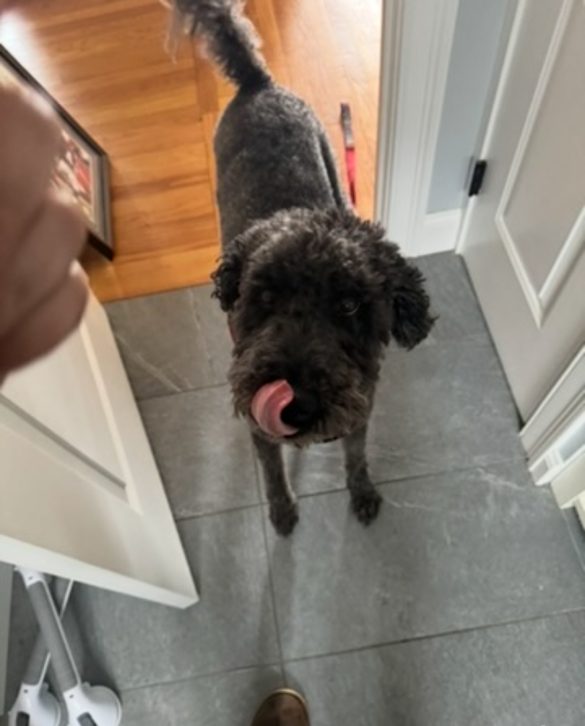 Blep Officer in Milton