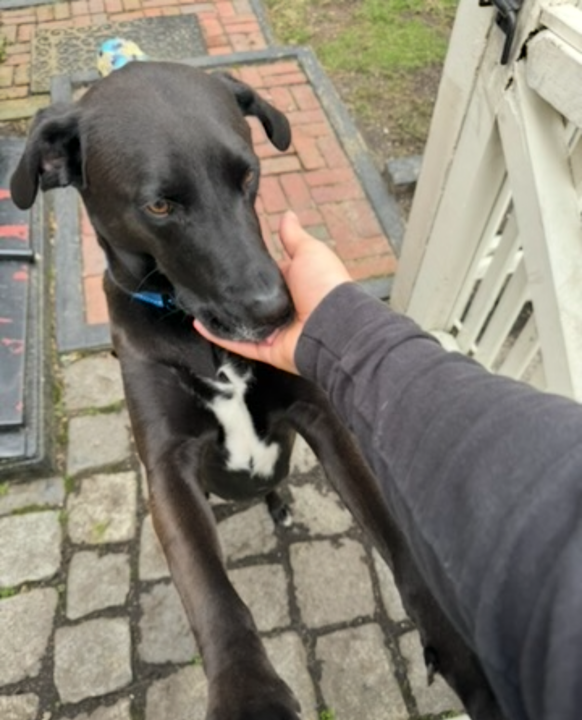 Quality sniff test in Hanover