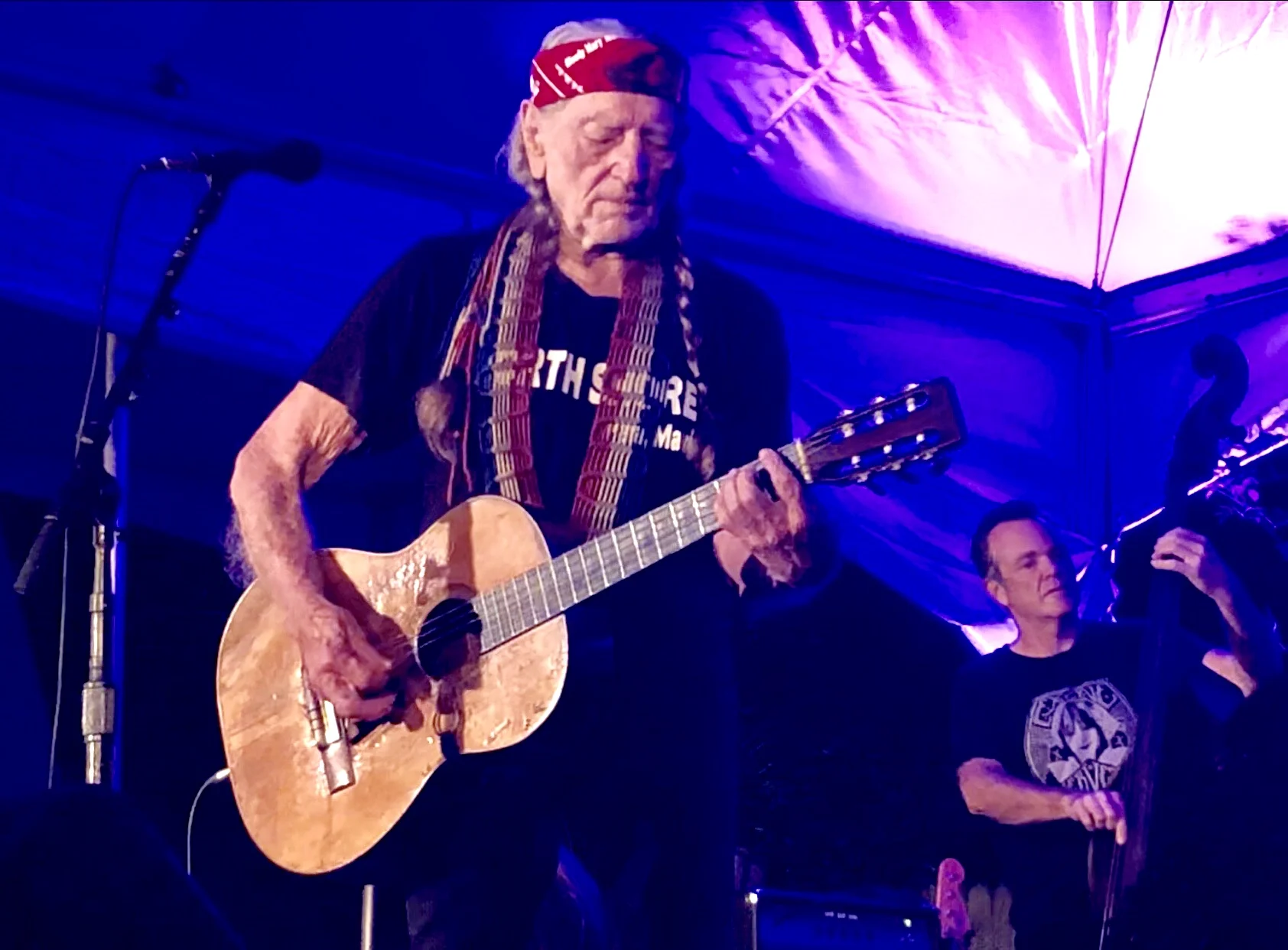willie.jpg
