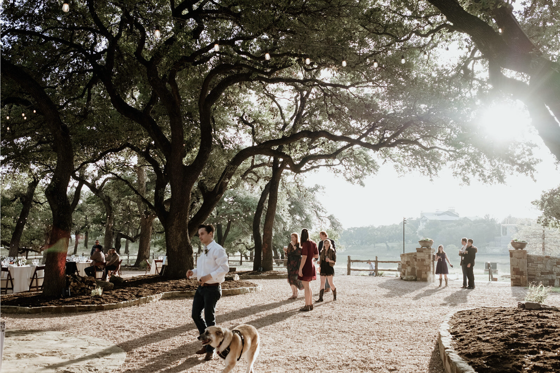 Screen Shot 2021-08-23 at 2.59.42 PM.png