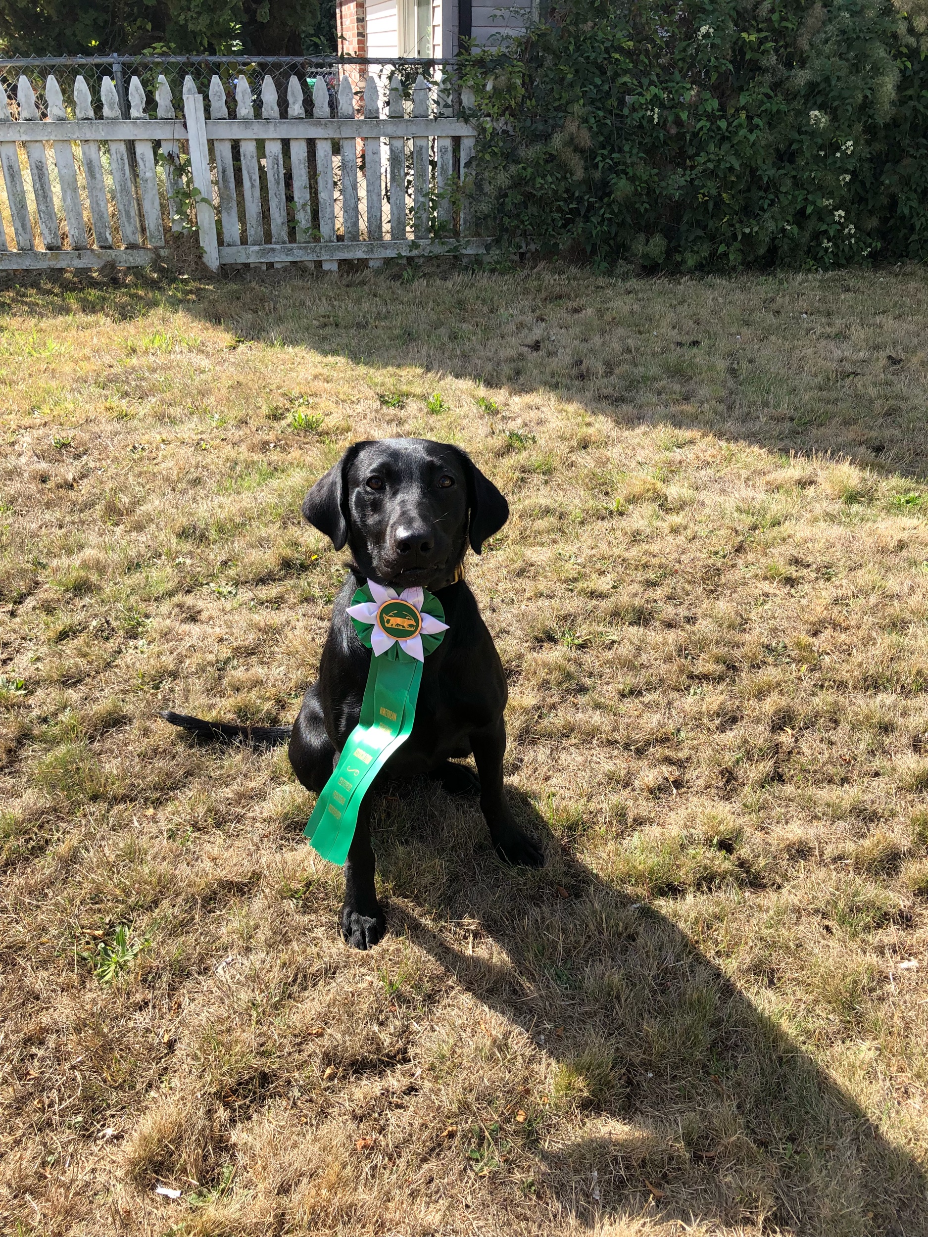 Tia looking proud after earning her CPR