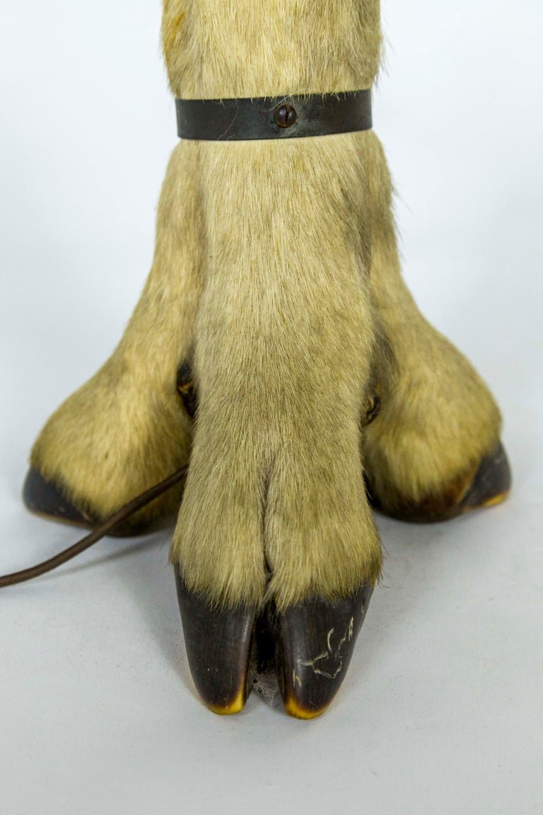 Antique Deer Hoof Table Lamp9.jpeg