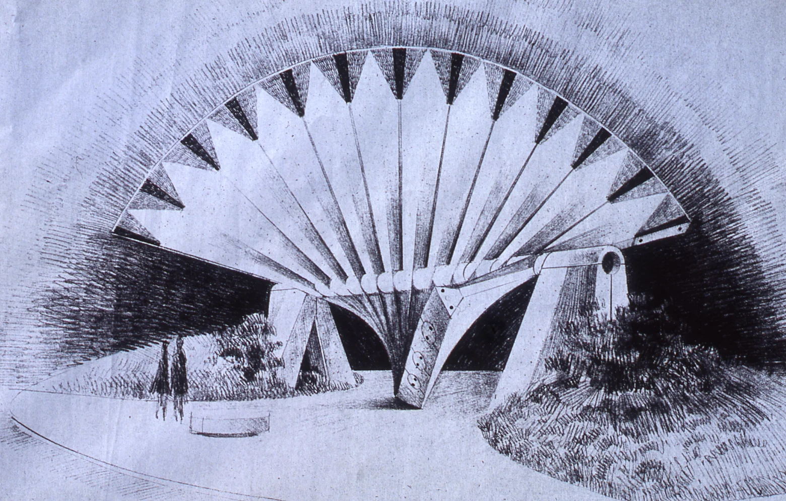 AP-1_006.jpg