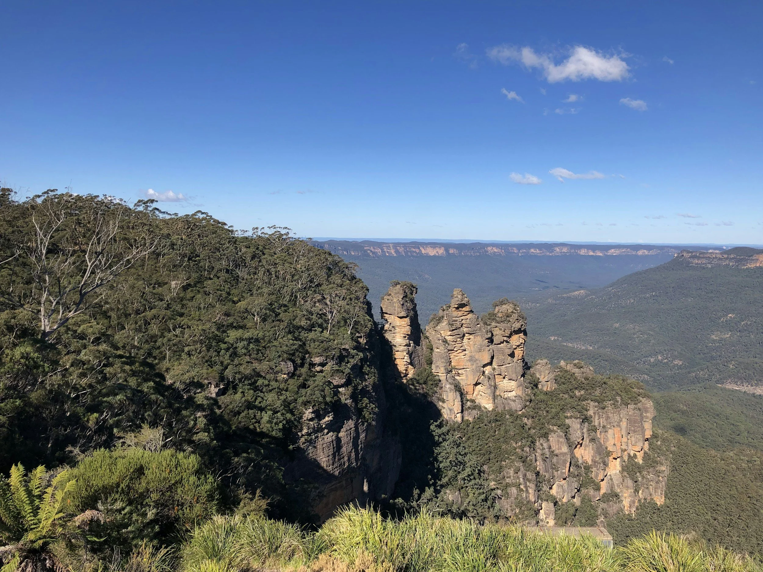 Why More People Are Moving to the Blue Mountains to Rent: Lifestyle, Affordability and Proximity to Sydney