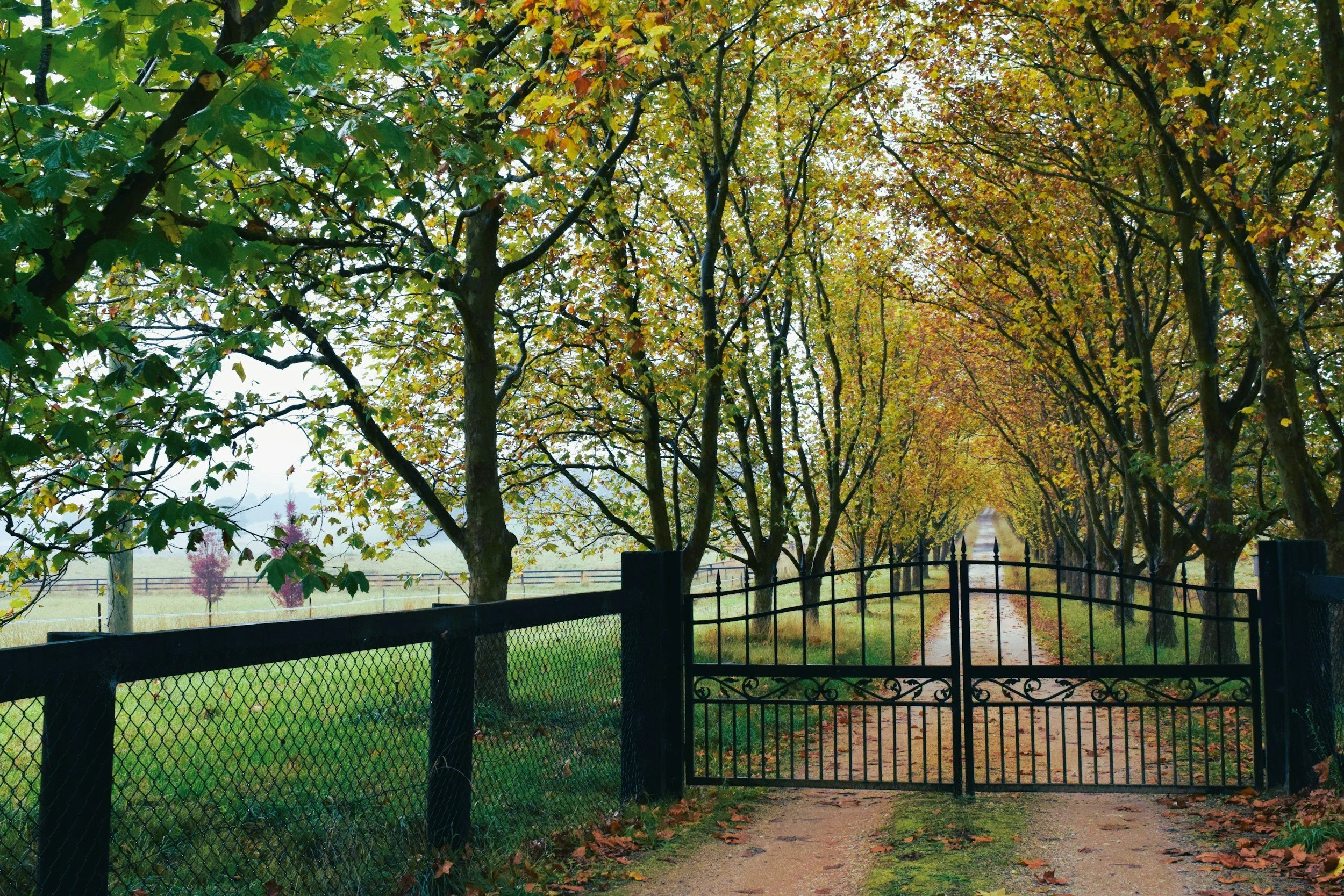 Living in the Southern Highlands: Why More Sydney Renters Are Heading for Highlands Life