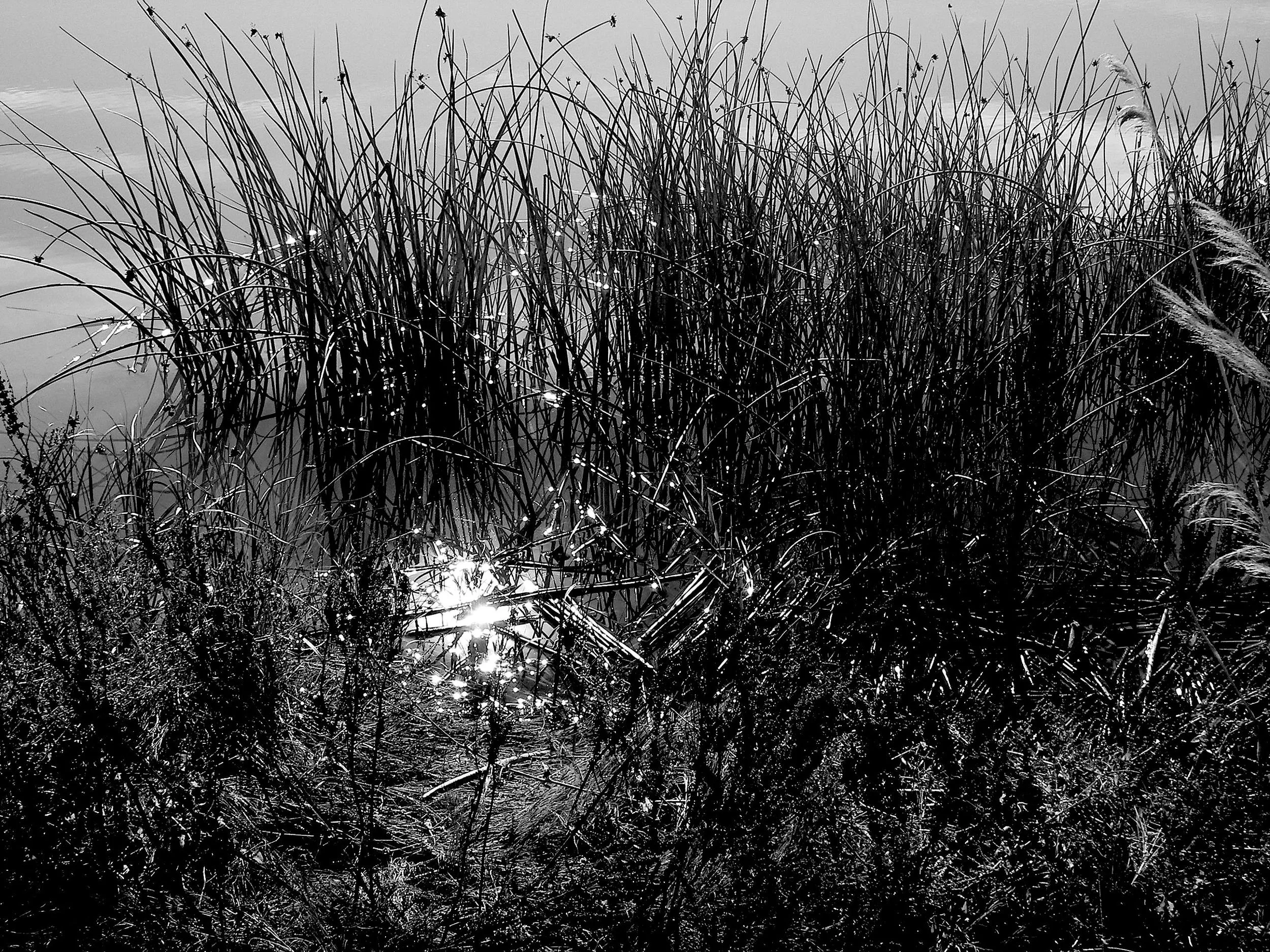 100_1181.JPG
