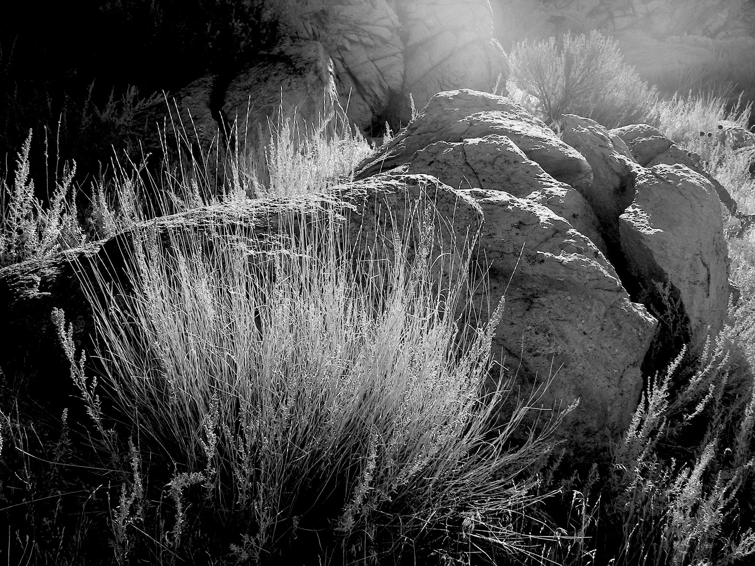 100_1281.JPG